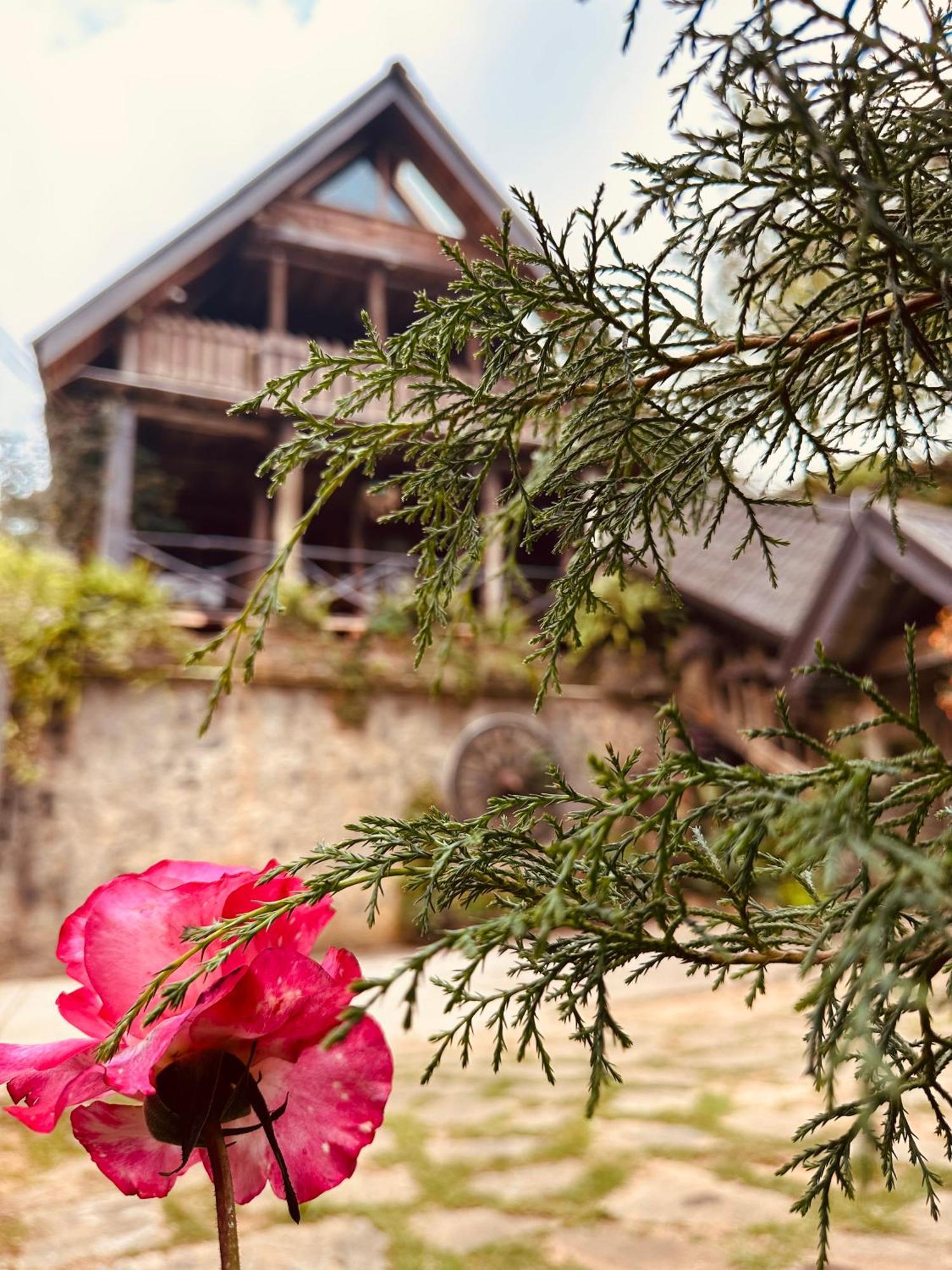 Villa 47 Nuwaraeliya Nuwara Eliya Exteriér fotografie