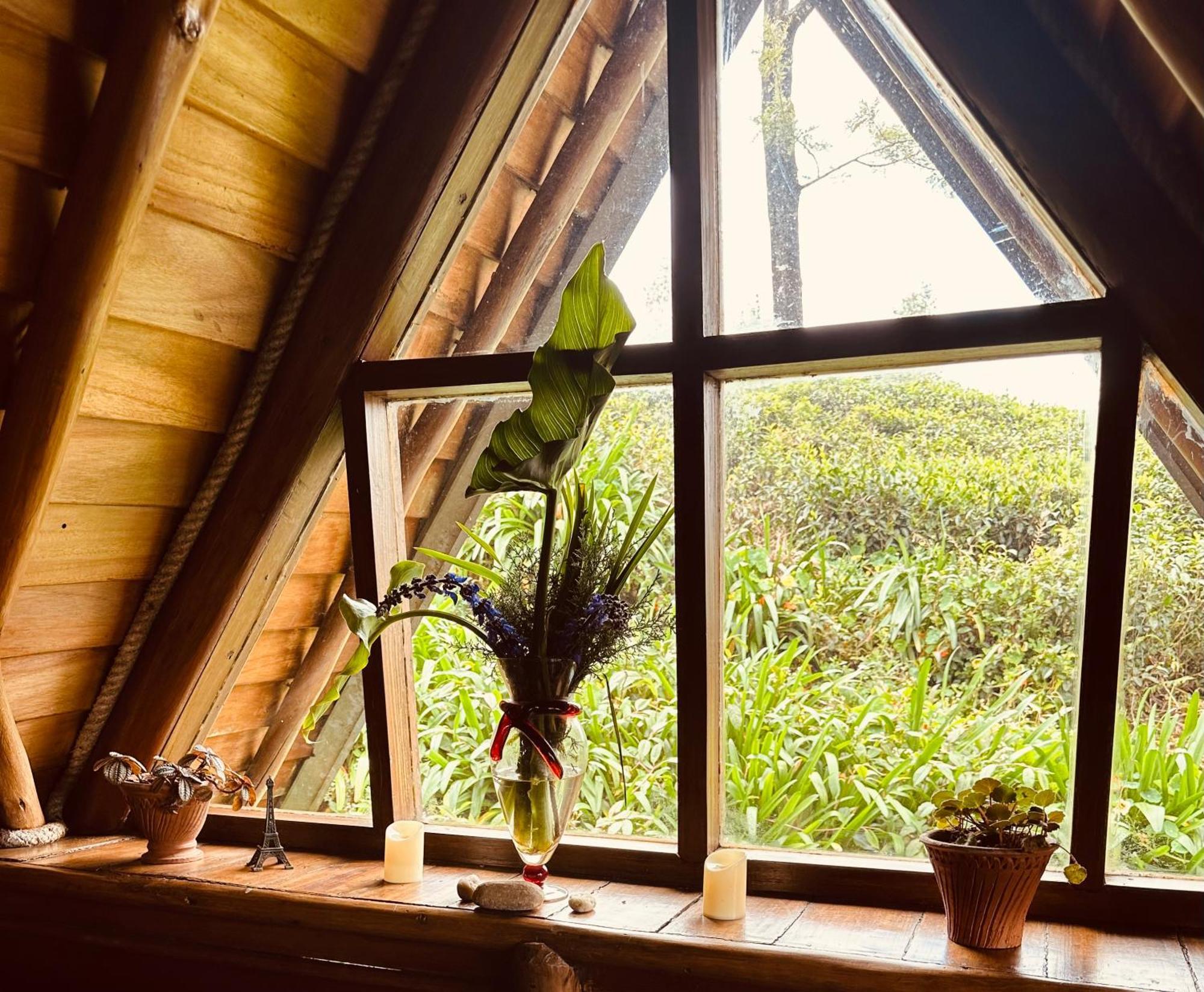 Villa 47 Nuwaraeliya Nuwara Eliya Exteriér fotografie