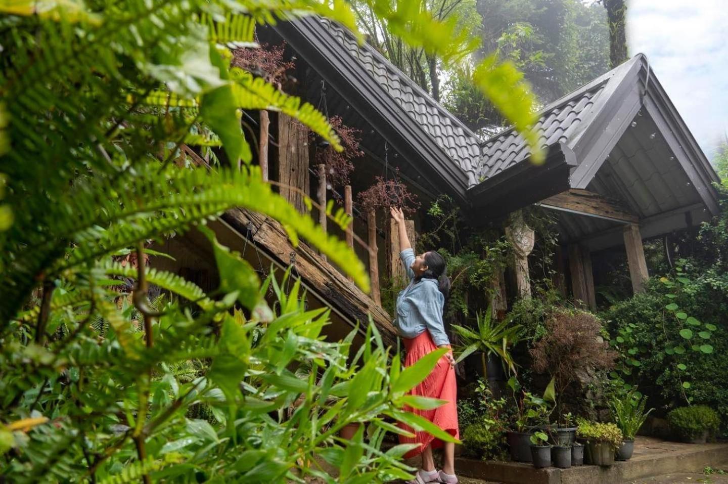 Villa 47 Nuwaraeliya Nuwara Eliya Exteriér fotografie