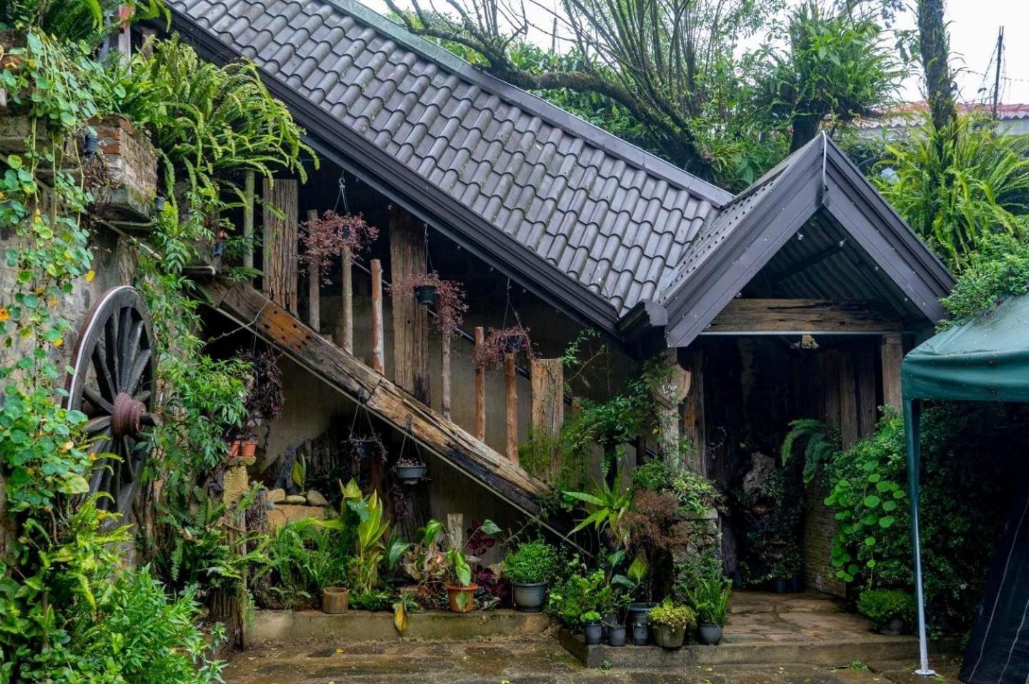 Villa 47 Nuwaraeliya Nuwara Eliya Exteriér fotografie